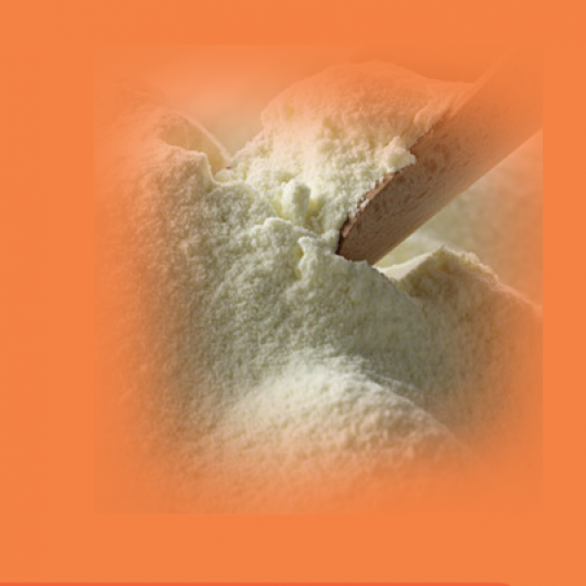 DEMINERALIZED WHEY POWDER D70